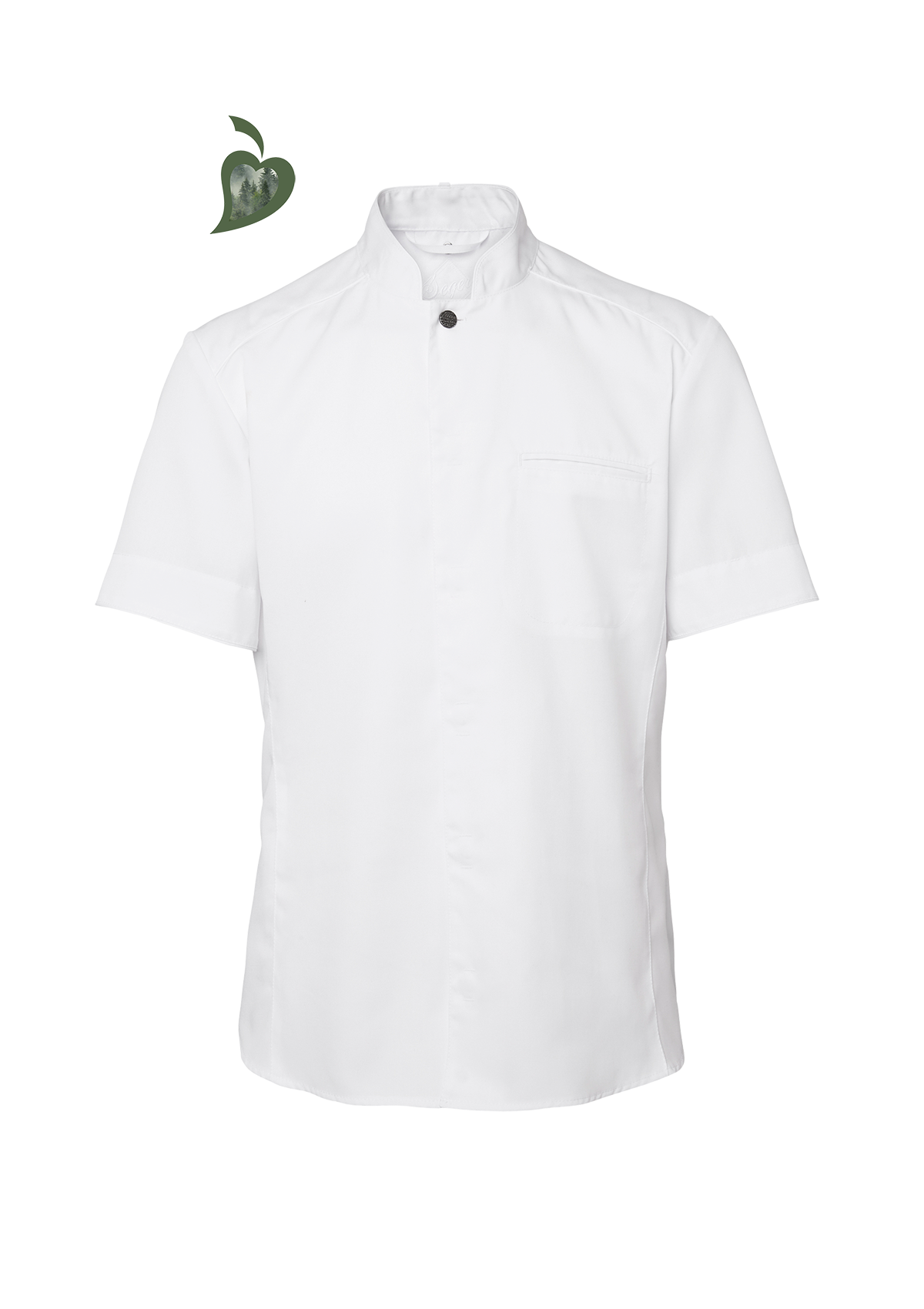 Chemise de Chef Slim Haut de Gamme Homme Manches Courtes | Segers