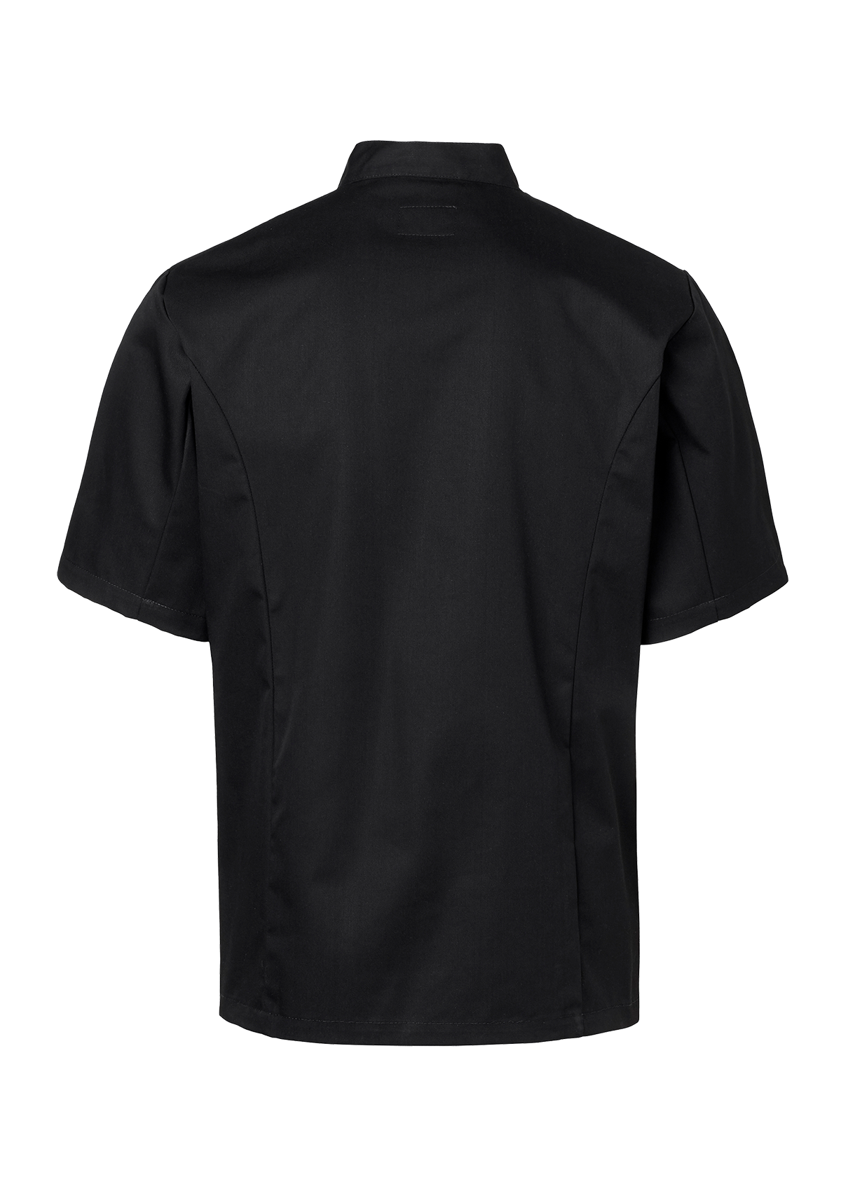 Chaqueta de chef para hombre cruzada manga corta | Segers