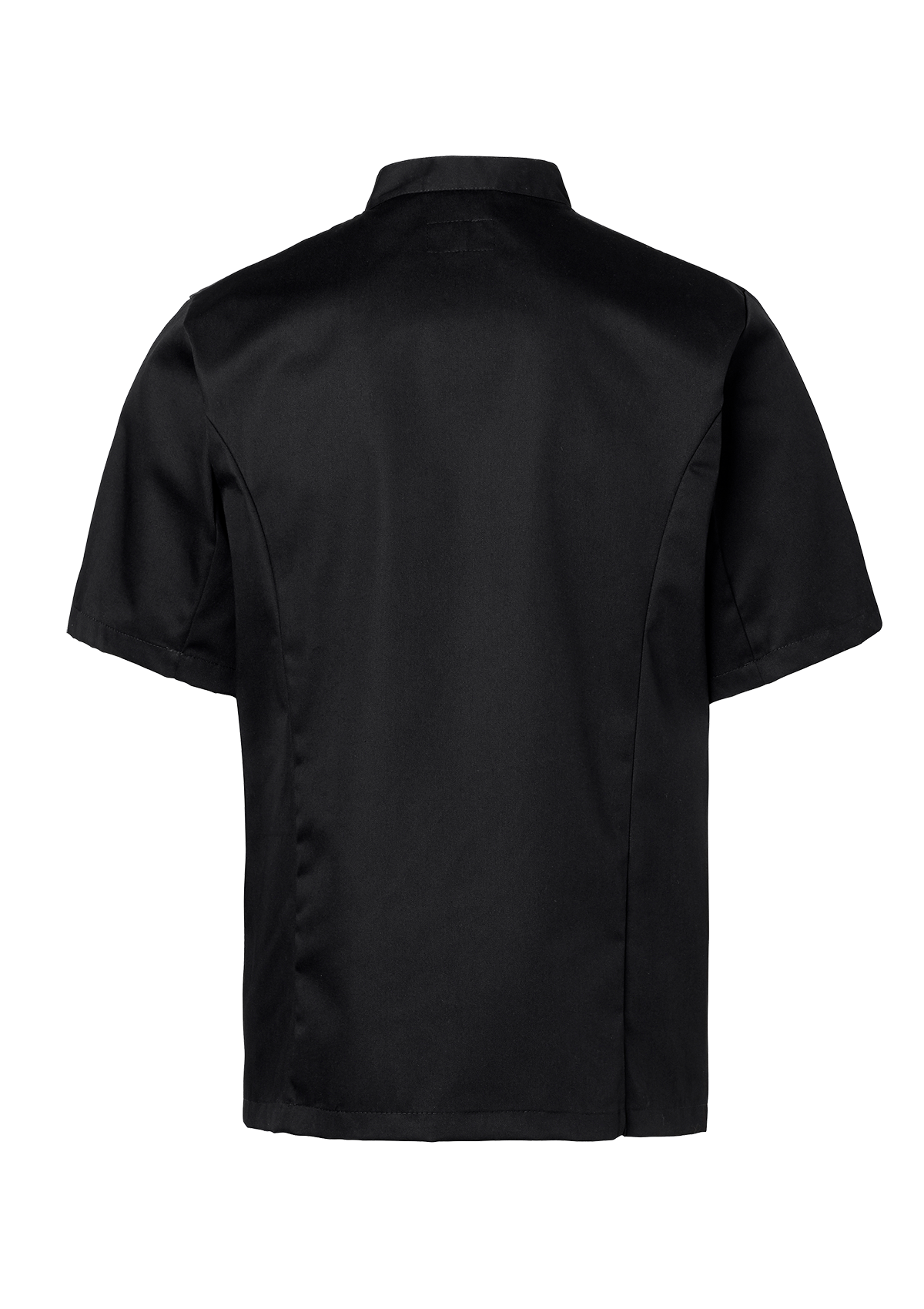 Chaqueta de chef para hombre cruzada manga corta | Segers