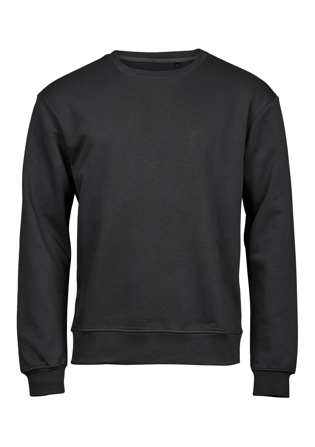 Classic Sweatshirt with Ribbed Neck