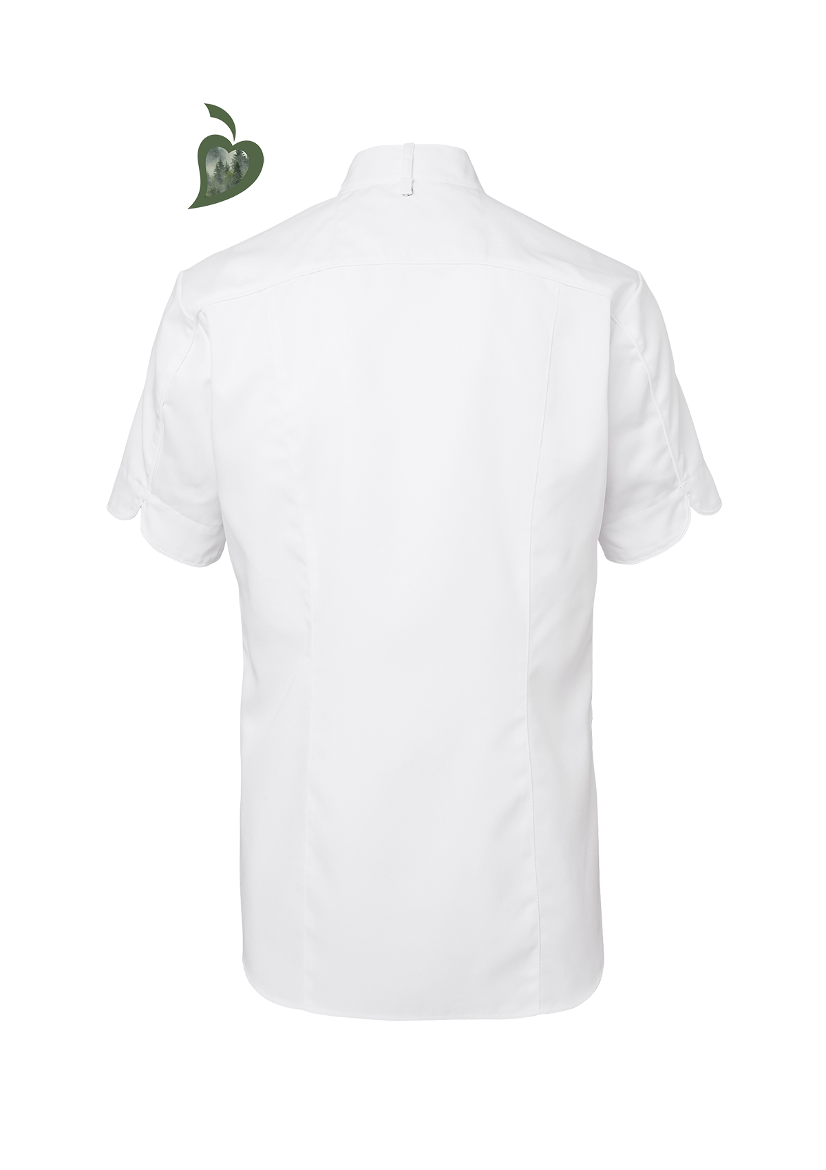 Men's chef shirt in slim-fit with short sleeves. Segers | Cookniche