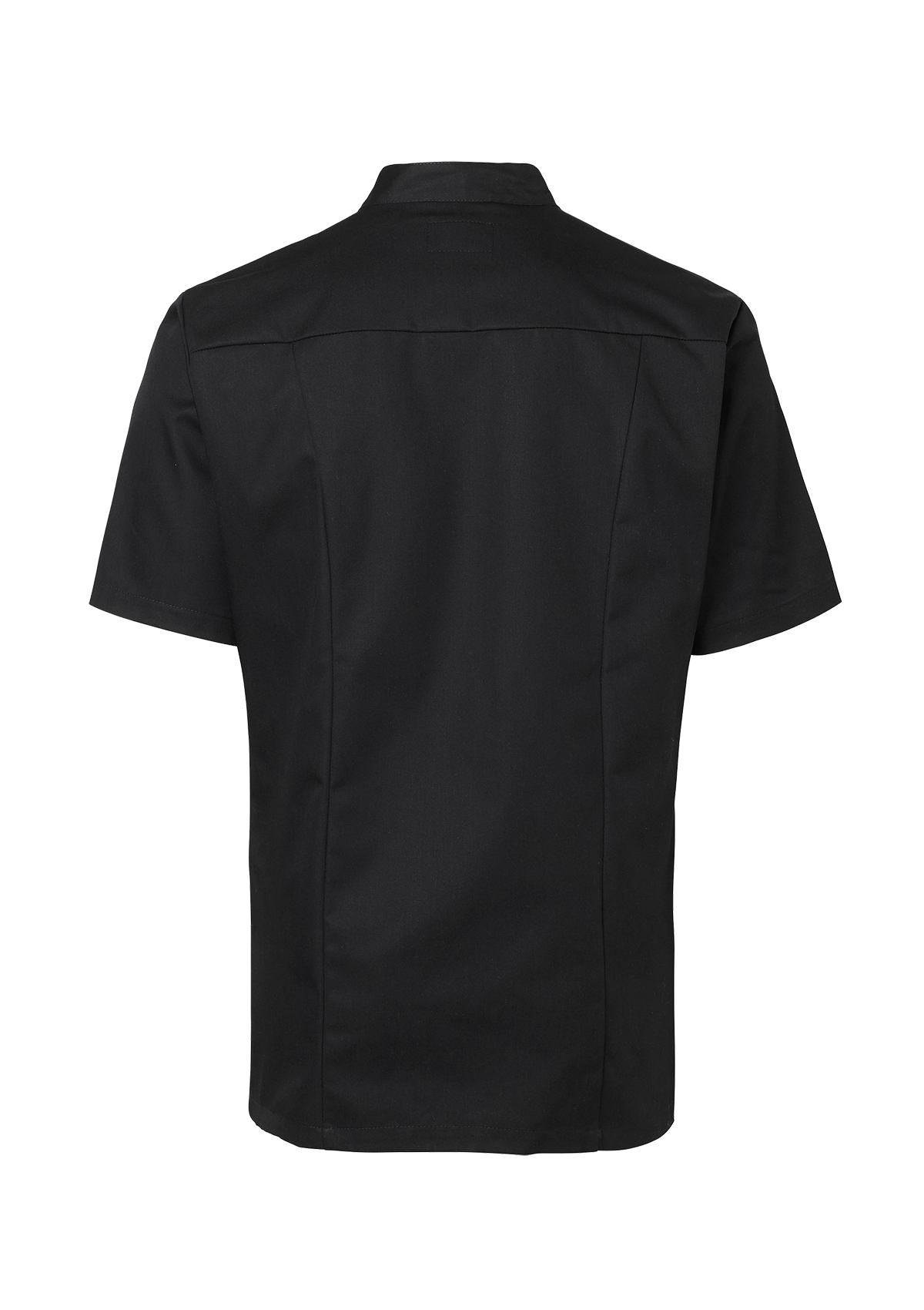 Men's Chef shirt in slimmer fit with short sleeves. Segers | Cookniche