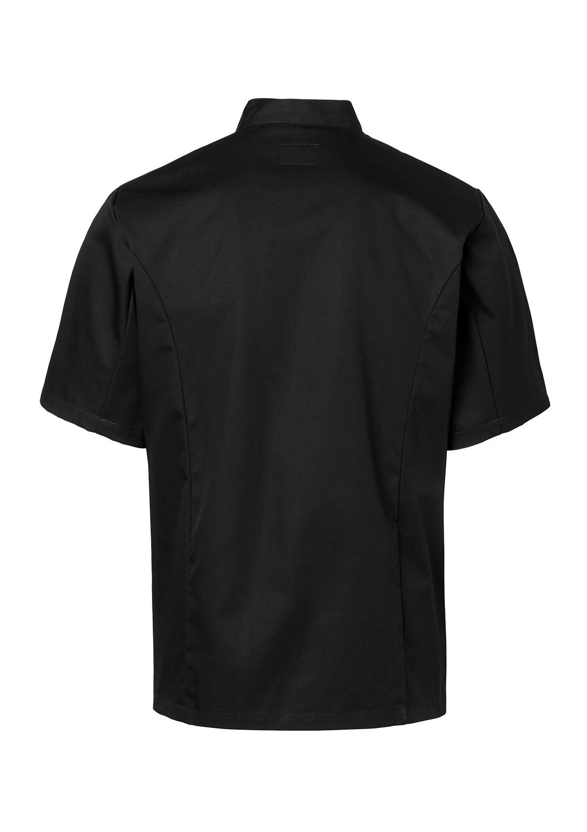 Men's Chef's jacket in straight cut with short sleeves. Segers | Cookniche