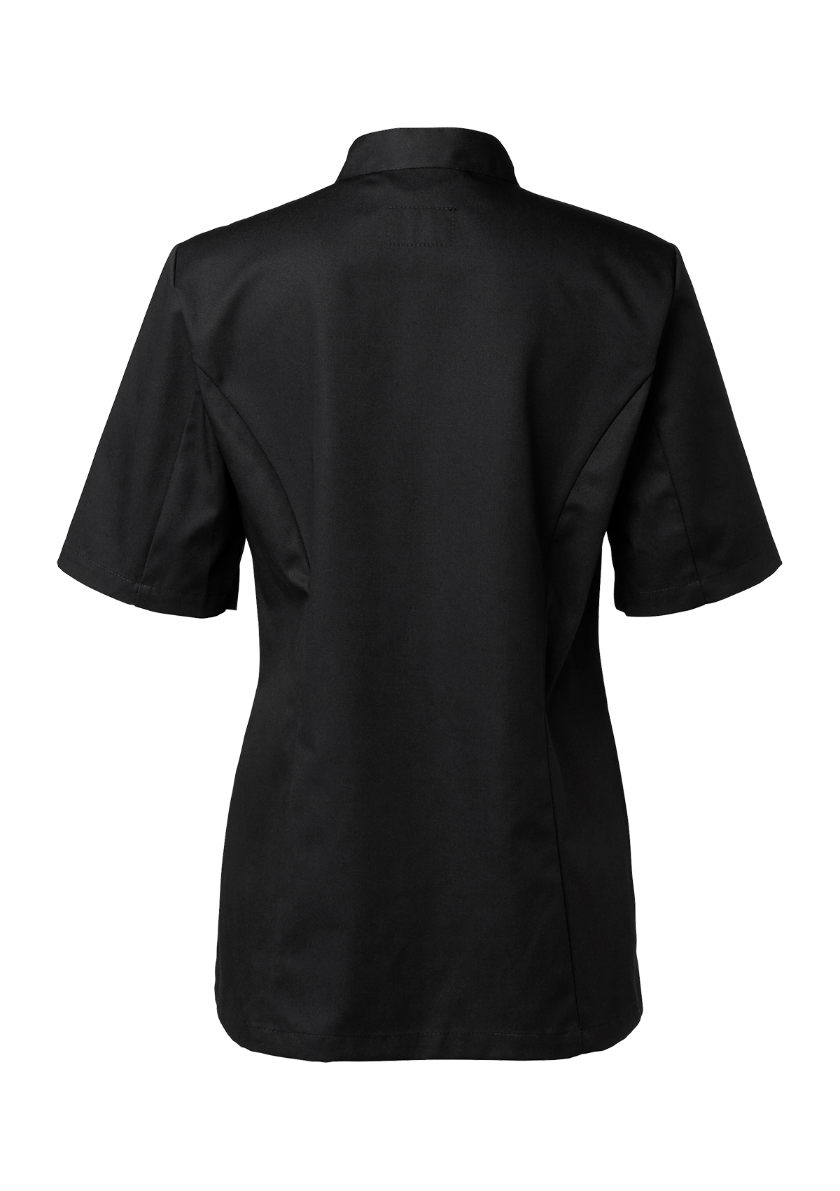 Women's Chef's jacket in Classic cut with bust darts and short sleeves. Segers | Cookniche