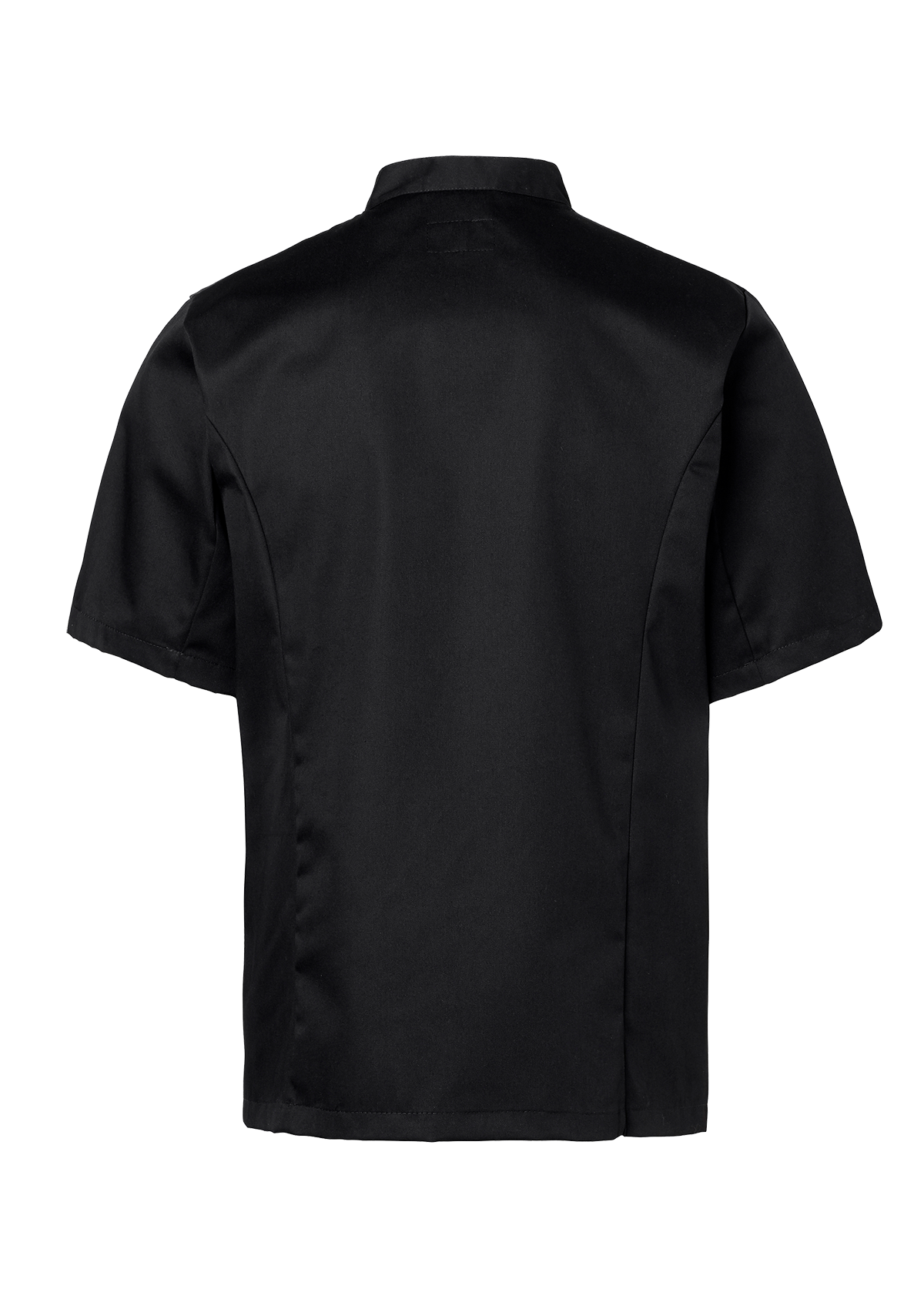Men's chef jacket in classic straight cut with short sleeves. Segers | Cookniche